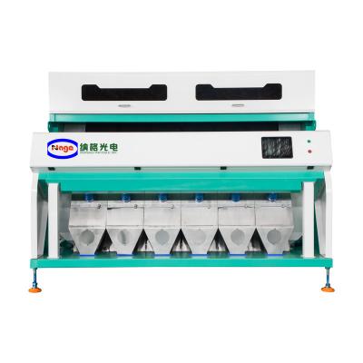 China High Efficiency Peeling Garlic Color Sorter Supplier PLC, Gear, Gearbox, Motor, Engine for sale