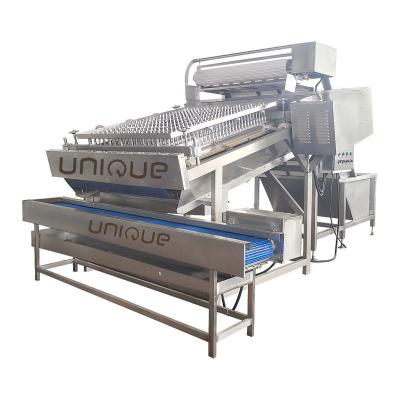 China 3600*2260*2200 mm Stainless Steel Prawn Peeling Machine for Quick and Shrimp Cleaning for sale