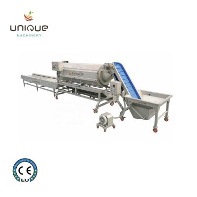 China Stainless Steel 304 Fruit Vegetable Potato Peeling Machine for Chopping and Peeling for sale