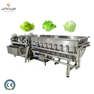 China 2021 Style Vegetable Fruit Helix Washing Processing Line for Commercial Applications for sale