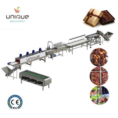 China Customized Voltage Dates Cleaning Machine for Pitting Plums and Fresh Produce Washing for sale