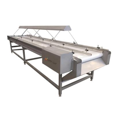 China 355 KG Capacity Dates Inspection Sorting Conveyor for Vegetable Sorting Machinery for sale