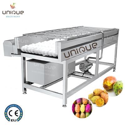 China Máquina de limpeza de limpeza de frutas de pêra de 2021 com aço inox 304 à venda