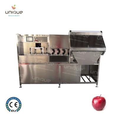 China Fruit Peeling Function Commercial Electric Apple Peeler Corer Slicer 2500*1000*1500 mm for sale