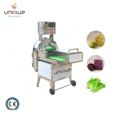 China 2.25 kw Multifunctional Vegetable Cutter for Cutting Leafy Vegetables on Conveyor Belt for sale