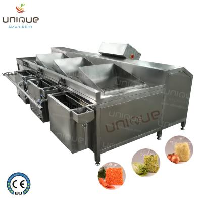 Chine Laveuse à sable de surface de fruits et légumes pour machine à laver à la salade à vendre