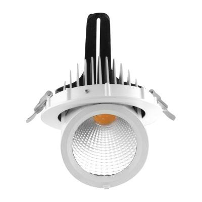 China DL28-30W Retail Store Ceiling Recessed Led Downlight CRI80 4000K Beam Angle 36 Degree for sale