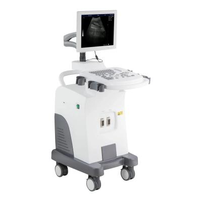 China Plastic Black And White Full Digital Ultrasound Scanner Machine Trolley for sale