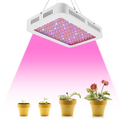 China Hydroponic Greenhouse Indoor Full Spectrum Plant Growth LED Light Phyto Horticulture Lights Lamp for Seedling Flower Growth en venta