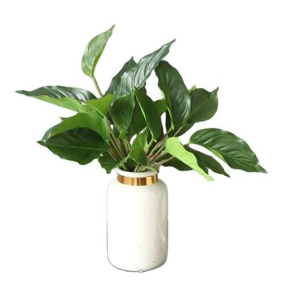 China Indoor ornamental artificial green plants Immortal plant aglaonema for sale