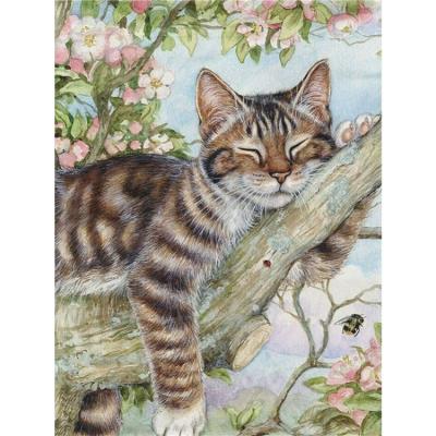 China Environmental Friendly Animal Decor Diamond Painting Hand Embroidery Custom Fashion Home Decor Cross Stitch Sleeping Cat Full Drill 5D Diamond Painting DIY for sale