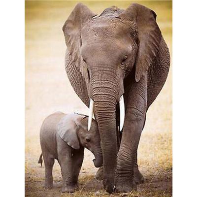 China Full Drill 5D Diamond Painting DIY Cross Stitch Fashion Home Decor Diamond Painting Embroidery Mother Environmental Friendly Animal Elephant for sale