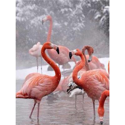 China Wholesale 5D Diamond Painting DIY Flamingo Drill Environmentally Friendly Full Landscape Fashion Home Animal Decor Diamond Painting Embroidery Kit for sale