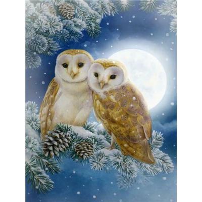 China Custom Diamond Art Painting Animal Owl DIY Diamond Painting 5D Environmental Friendly Home Decor Fashion Of A Diamond Embroidery Kit for sale