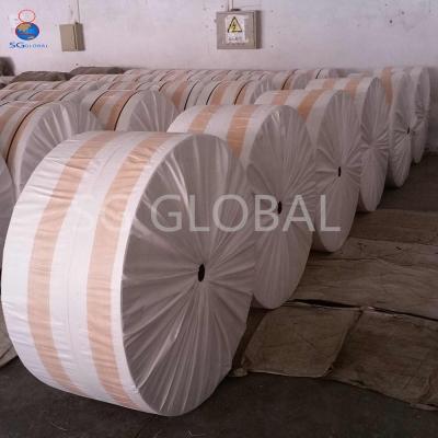 China China Tear-resistant Supply Sack White Bag Making PP Woven Fabric Roll for sale