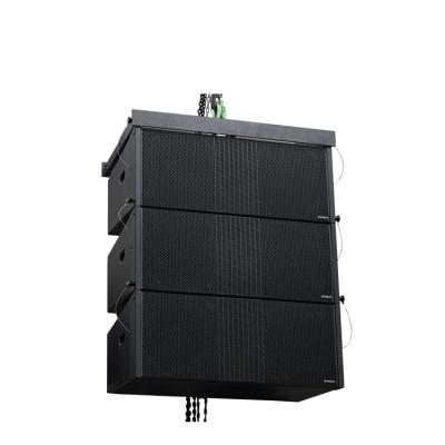 China Passive Line Array Plywood High Performance For Double Line Array 12 Inch Church Speaker for sale