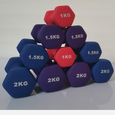 China Factory direct sales universal high quality gym equipment home ladies dipping dumbbell set for sale