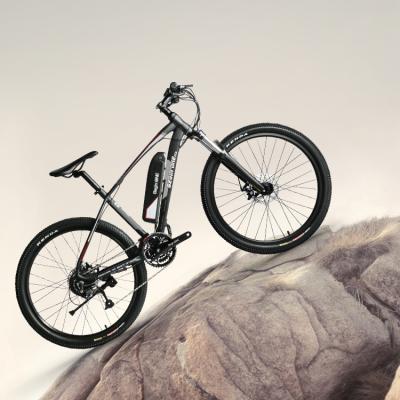 China Aluminum Alloy Ebike 250W 36V E Pedelec 27 Speed ​​Moutain Electric EBike for Life More Relax and Wonderful for sale