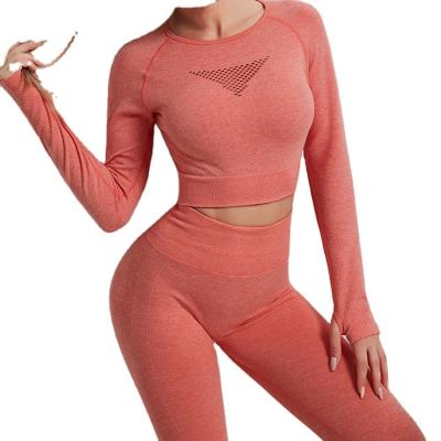 China Wholesale Anti-UV Women's Sportswear Gym Fitness Exercise Workout Yoga Wear Set Seamless Women's Sportswear Yoga Set for sale