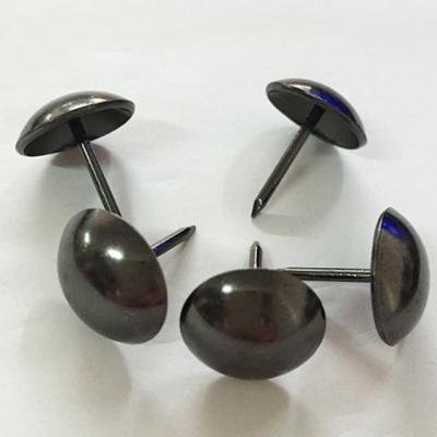 China Decorative Iron Diameter 11x17mm Bubble Nailsl And Shining Black Decoration Sofa Nail for sale