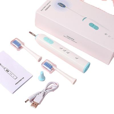 China OEM Private Label Outdoor 3 Model Rechargeable Smart Electric Toothbrush for sale