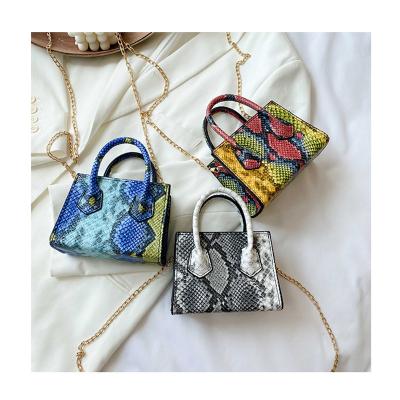 China Luxury Designer Small Chunky Shoulder Crossbody Bags Women Handbags 2021 Mini Hand Bags Brand Purses Fashion Snake Print Female Totes for sale