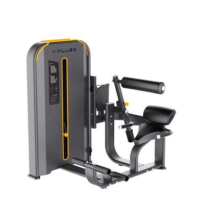 China Commercial use sport exercise fitness equipment in the gymnasium strength gym equipment hammer strength back extension machine for sale