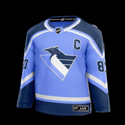 China Bluebird Team Youth Team Breathable Custom Shirt .quick dry uniform Blue Bird Serious Ice Hockey for sale