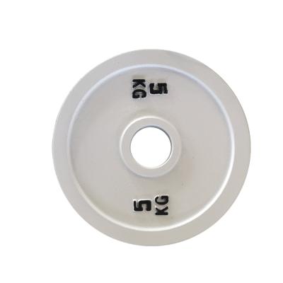 China Durable Free Weight Training High Quality20kg Gym Weight Plate Bumper for sale