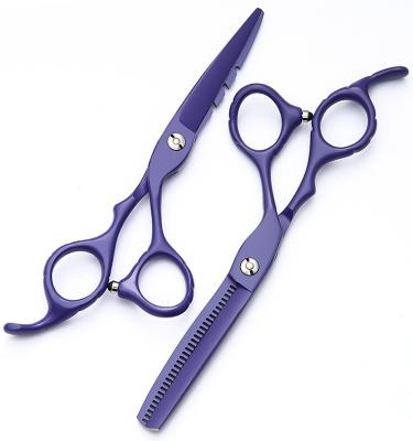 China Cutting Scissors Professional Japanese Hairdresser Shears Hair Cutting Scissors 9CR13 Hair Cutting Scissors Kits for sale