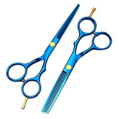 China Scissors Barber Hair Thinning Scissors Cutting Scissors Japanese Hair Barbers Shears Hairdresser Thinning Scissors Tools for sale