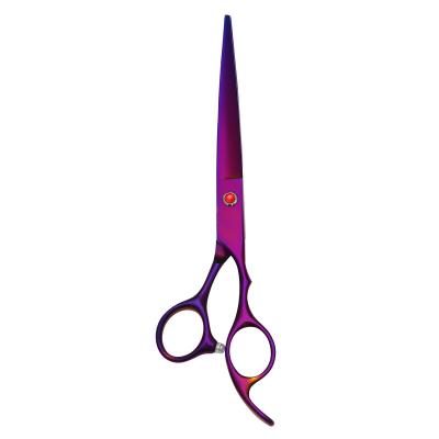 China 5Pcs/Set Pet Grooming Scissors Viable Dog Grooming Tool Stainless Steel With Round Tip Heavy Duty Titanium Coated Grooming Scissors Kit for sale