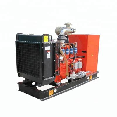 China Power Plant Self Start 40kw Popular Natural Wood Genset Gas Generator For Sale With AVR for sale