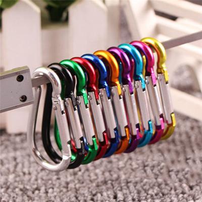 China Aluminum Key Chain Climbing Accessories NEW SN200205 Camping Clip Carabiner Clip Keychain Water Bottle Outdoor Snap Buckle Travel for sale