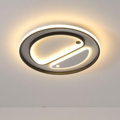 China The high quality lounge mounted outdoor lights the modern ceiling lamp ceiling lamps for sale