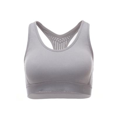 China New Style Ladies Anti-pilling Women Yoga Sports Seamless Bra Top Active Wear Stretchy Custom Fitness for sale