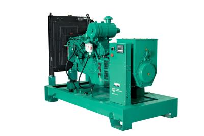 China Brushless Cummins Diesel Standby Generator 1500rpm 100kva 80kw Water Cooled for sale