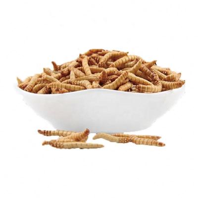 China BESSN Best Price Viable Fish Feeds Processing Mealworms Fish Food For Sale for sale