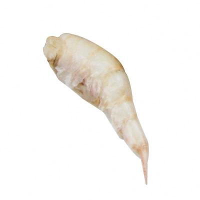 China BESSN Cheap and High Quality Natural Lighting High Protein Fish Food Viable for sale