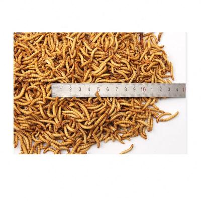 China BESSN New Arrival High Protein Freeze Dried Mealworms Pet Food Viable Best Price Freeze Dried Chicken for sale