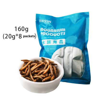 China BESSN 2020 Wholesale High Quality High Protein Viable All Natural Fresh Worms Fish Food for sale