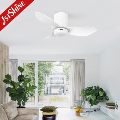 China Small Ceiling Fan Light 36