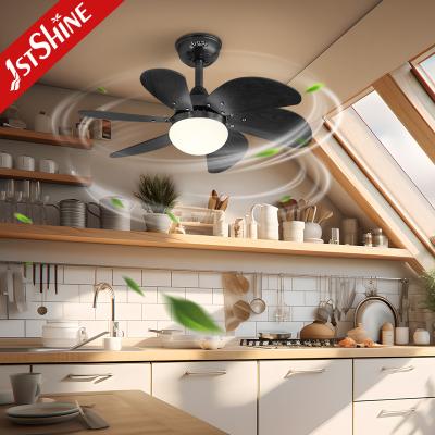 China Black E27 Modern LED Ceiling Fan Low Voltage Living Room Decorative for sale