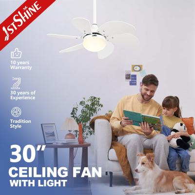 China 1stshine Ceiling Fan Light with White Blades and 6 Speeds 110-240V/50Hz-60Hz Input Voltage for sale