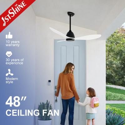 China 48-inch ABS Blades Ceiling Fan with 6 Speeds Remote Control Without Light Fancy Design for sale