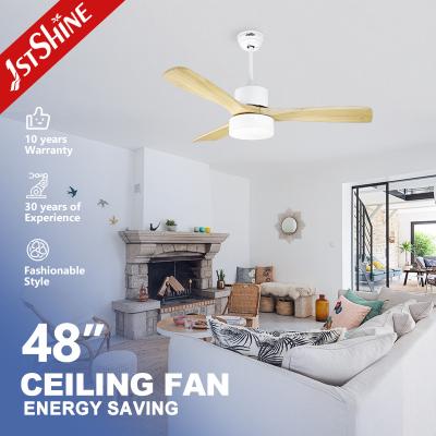 China 52 Inch Luxury Household Ceiling Fan with Light and Remote Control AC Copper Motor for sale