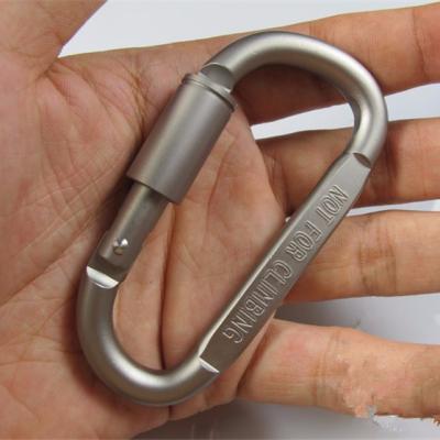 China Metal D Shaped Aluminum Alloy Carabiner Snap Hook Screw Lock Carabiner Key Chain Outdoor Activities for sale