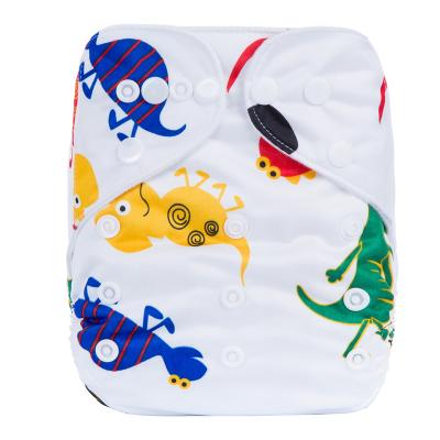 China Cathybaby Print Baby Cloth Diapers Cloth Cloth Diapers for sale