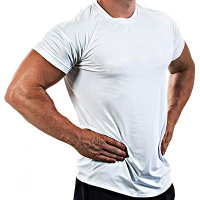 China Breathable T-shirts Mens T-shirts Sweatproof Knitwear Anti-pilling Gym Clothing Men's White for sale