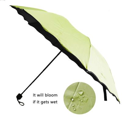 China Color Changing Umbrella Color Changing Folding Umbrella Dry No Printing So Wet Printing Take Out Umbrella for sale